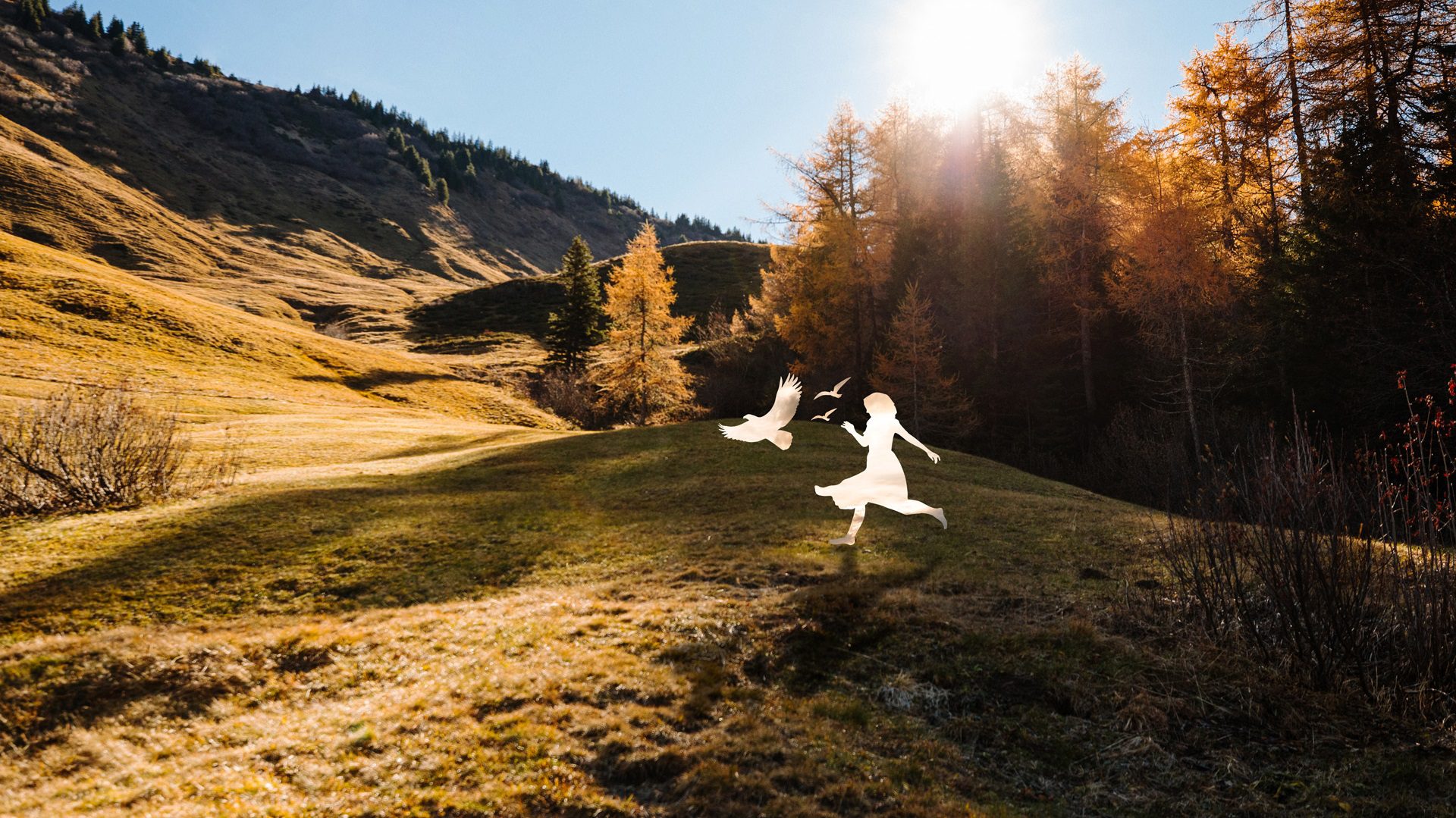 Home Herbst