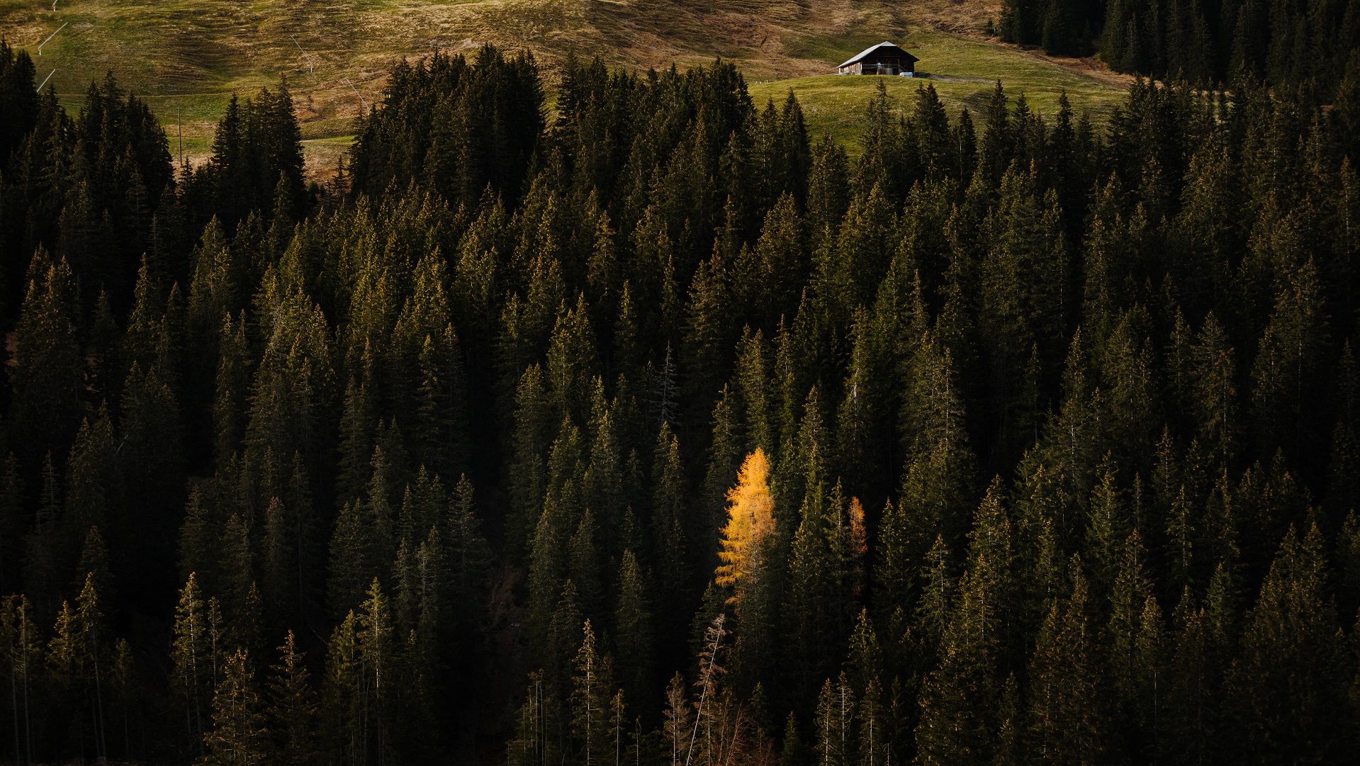 Home Herbst